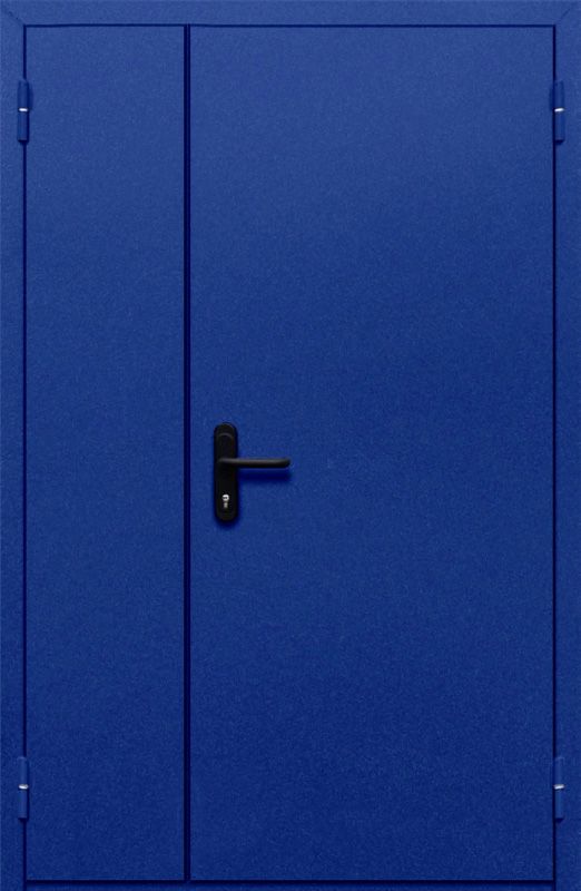 картинка Полуторная глухая дверь ДПМ-02-EI60 (Синяя) от магазина Дверкин